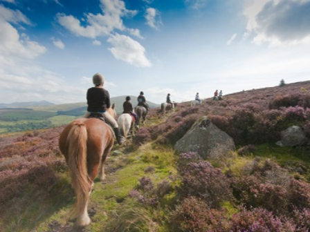 Ride in Snowdonia National Park